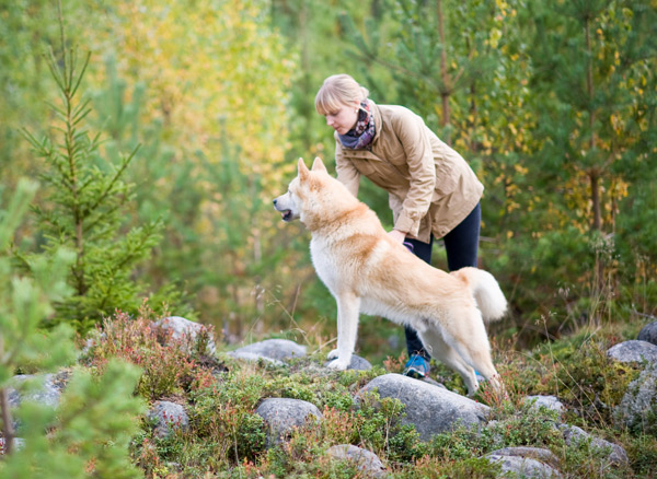 Urlaub in Schweden mit Hund