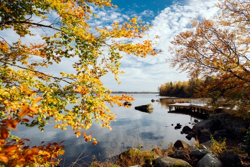 Am Ufer von See Åsnen