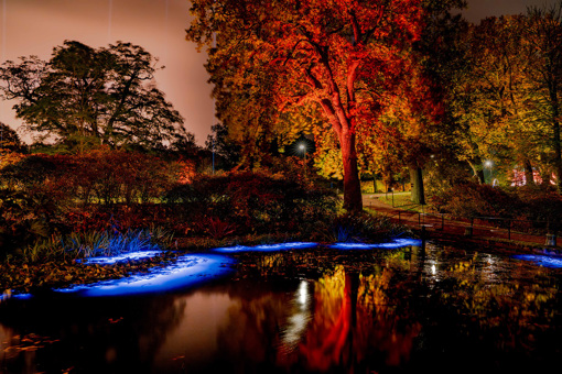  Lichtinstallationen im Schlosspark von Sofiero,