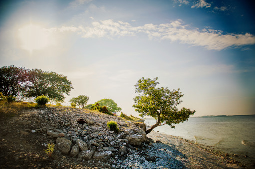 Fårö Insel