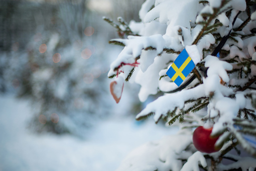 Schwedenfahne im Winter